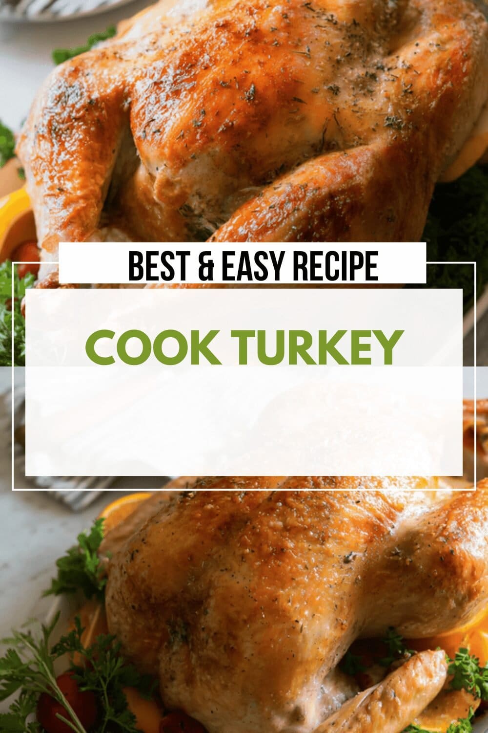 Cook Turkey