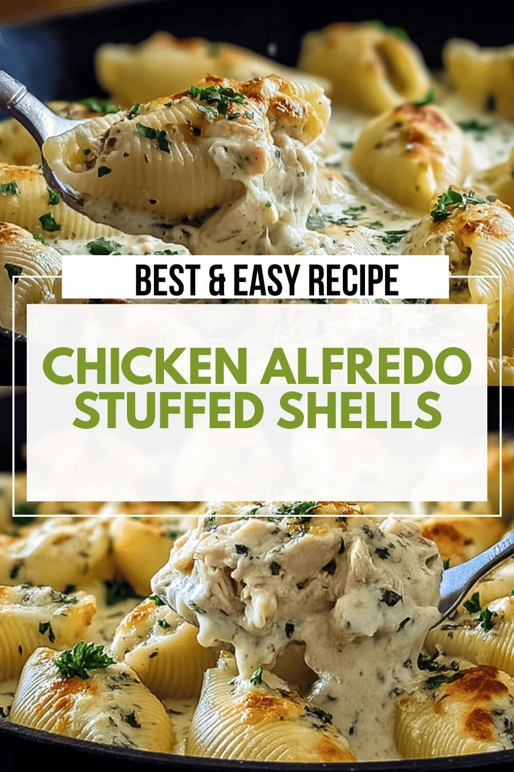 Chicken Alfredo Stuffed Shells