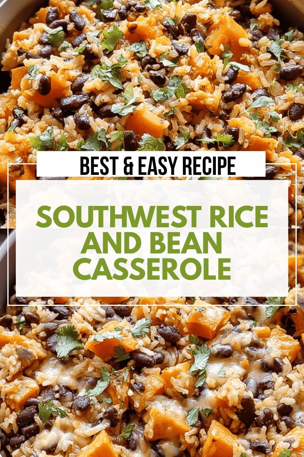 Southwest Rice And Bean Casserole