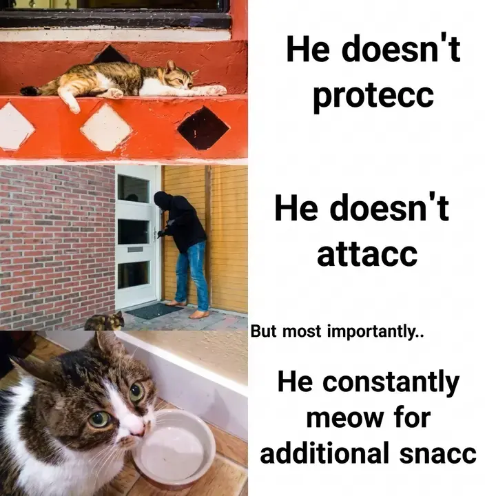 Snacc Meaning: The Internet Slang Term For Attractive People And Pets 2 Snacc Meaning, Where Does Snacc Come From